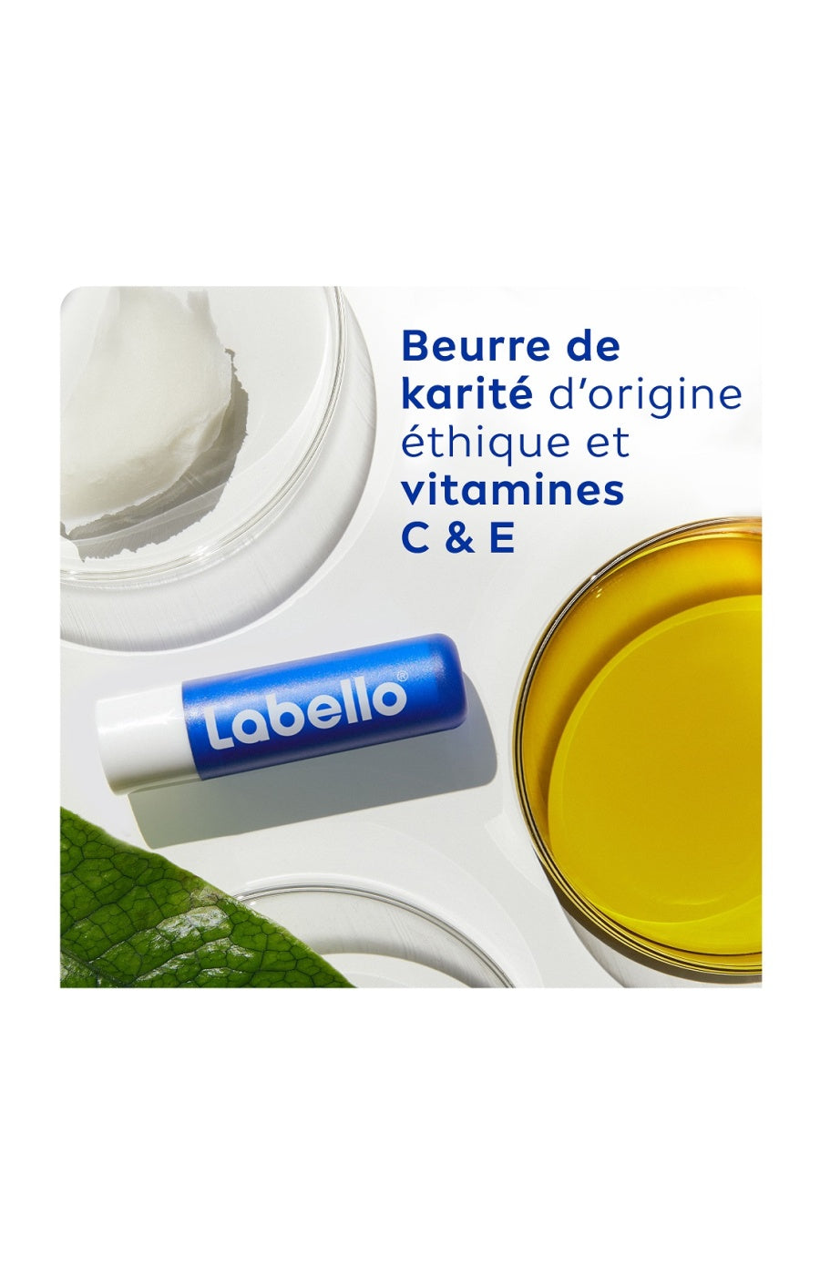 Duo baumes à lèvres SPF 15 - Original & Hydro Care + - 4 x 4,8 g